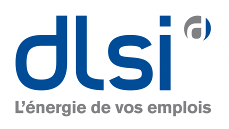 DLSI-Gruppe : Ergebnis 2020